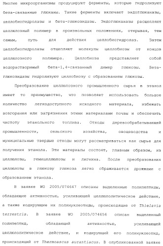 Клетка-хозяин trichoderma reesei для получения целлюлолитической белковой композиции, целлюлолитическая белковая композиция, способы ее получения и применения (патент 2494146)