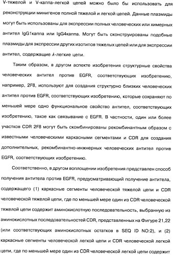 Человеческие моноклональные антитела к рецептору эпидермального фактора роста (egfr), способ их получения и их использование, гибридома, трансфектома, трансгенное животное, экспрессионный вектор (патент 2335507)