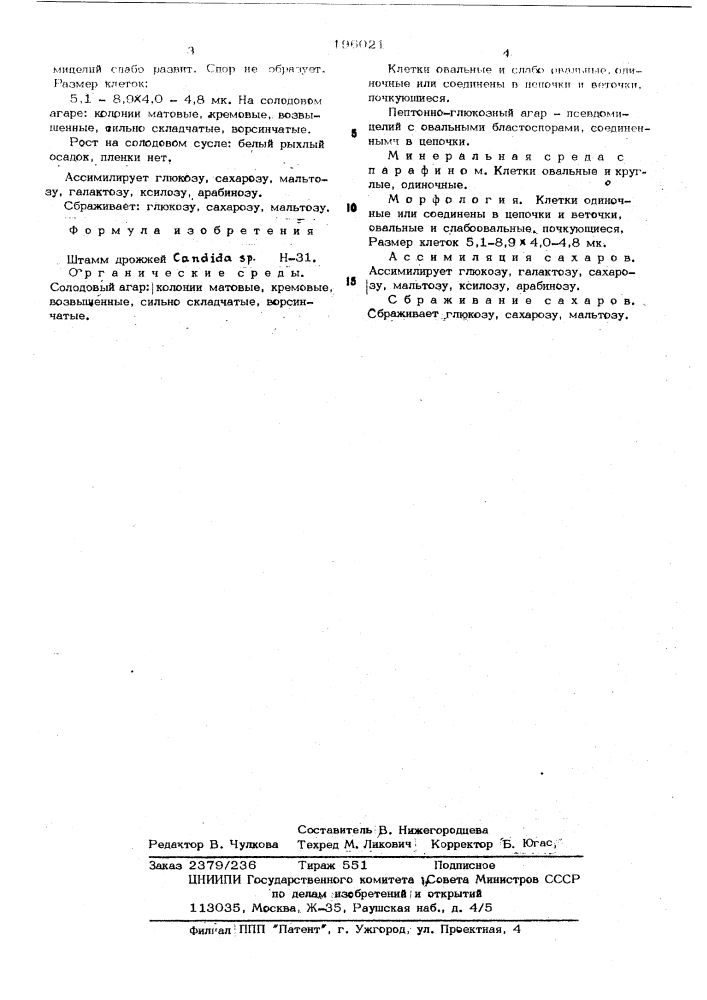 Штамм дрожжей н-31 (патент 196021)