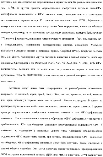 Антитела к гликопротеину vi и способы продуцирования и использования этих антител (патент 2407752)