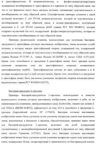 Способ получения l-треонина с использованием бактерии, принадлежащей к роду escherichia, в которой инактивирован ген yncd (патент 2396337)