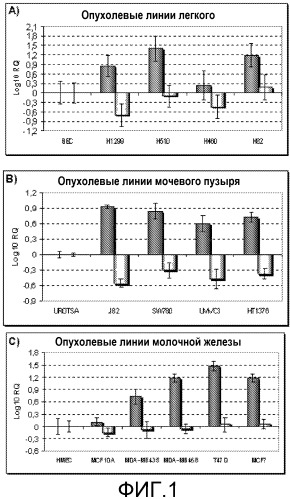 Способы лечения и диагностики рака (патент 2509809)