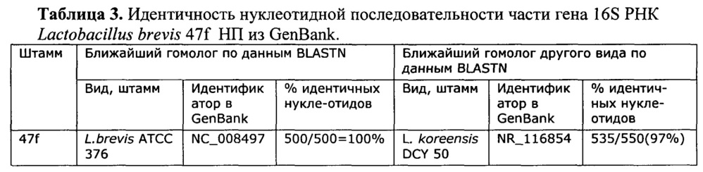 Штаммы lactobacillus brevis и lactobacillus rhamnosus с установленной последовательностью генома, синтезирующие глутатион и комплекс внутриклеточных антиоксидантов (патент 2617946)