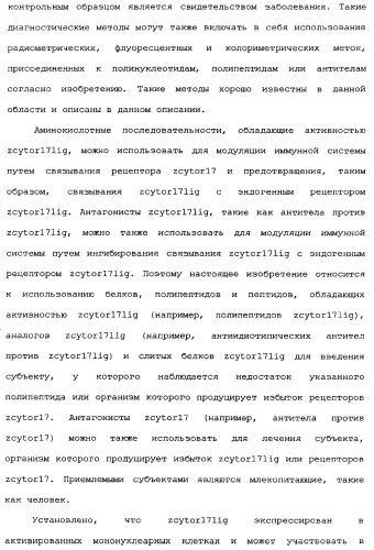 Новый лиганд рецептора цитокина zcytor17 (патент 2360923)