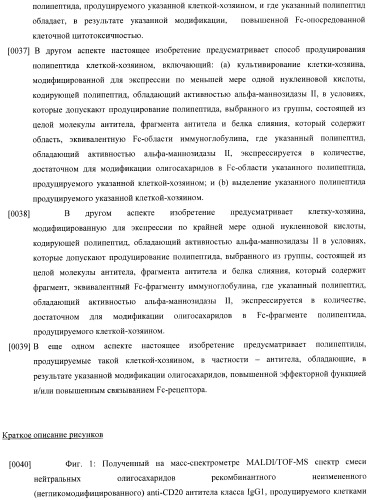 Конструкции слияния и их применение для получения антител с повышенными аффинностью связывания fc-рецептора и эффекторной функцией (патент 2407796)