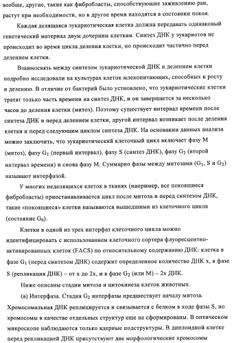 Стероидные соединения в качестве ингибиторов стероидсульфатазы (патент 2428427)
