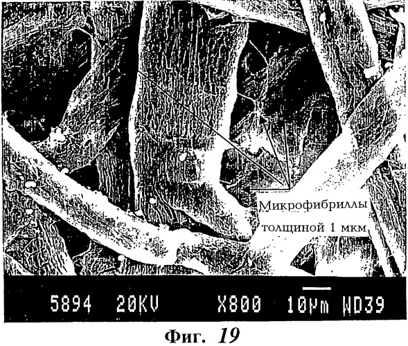 Волокна из зерен растений и их использование (патент 2278914)