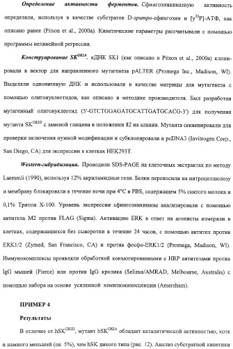 Сфингозинкиназа (варианты), нуклеиновая кислота, ее кодирующая (варианты), и их применение (патент 2326945)