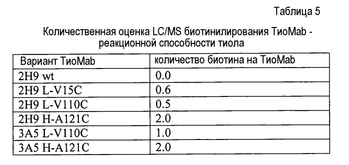 Конъюгаты меченных радиоактивным цирконием сконструированных антител с цистеиновыми заменами (патент 2562862)