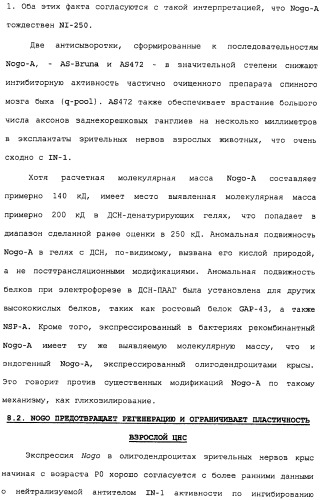 Поликлональное антитело против nogo, фармацевтическая композиция и применение антитела для изготовления лекарственного средства (патент 2432364)