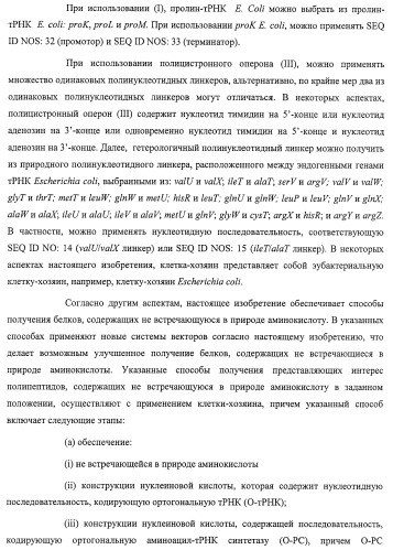 Система экспрессии компонентов ортогональной трансляции в эубактериальной клетке-хозяине (патент 2467069)