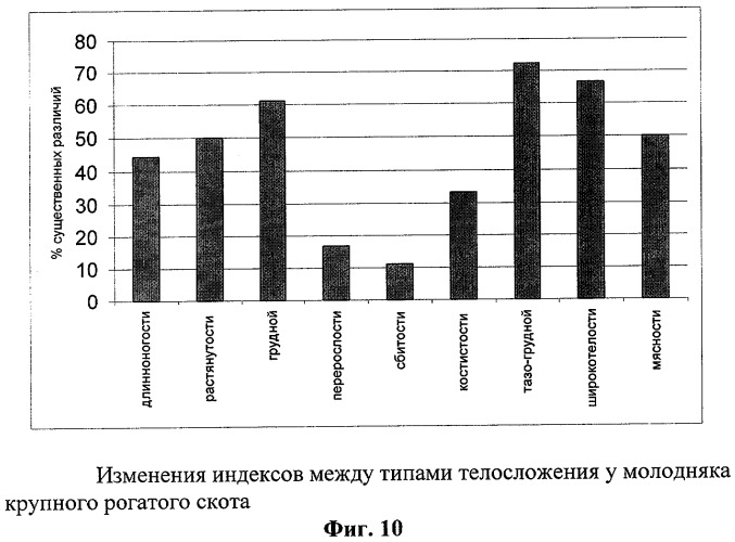 Способ прогнозирования типа телосложения у крупного рогатого скота (патент 2294100)