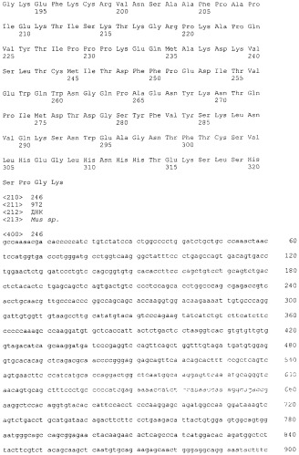 Pscaxcd3, cd19xcd3, c-metxcd3, эндосиалинxcd3, epcamxcd3, igf-1rxcd3 или fap-альфаxcd3 биспецифическое одноцепочечное антитело с межвидовой специфичностью (патент 2547600)