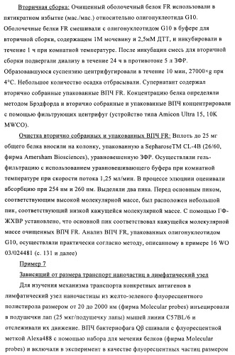 Упакованные иммуностимулирующей нуклеиновой кислотой частицы, предназначенные для лечения гиперчувствительности (патент 2451523)