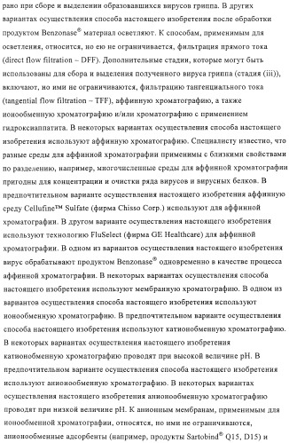 Линии клеток почки собаки майдин-дэрби (mdck), поддерживающие рост вирусов до высоких титров, и способ применения этих клеток в биореакторе (патент 2487935)