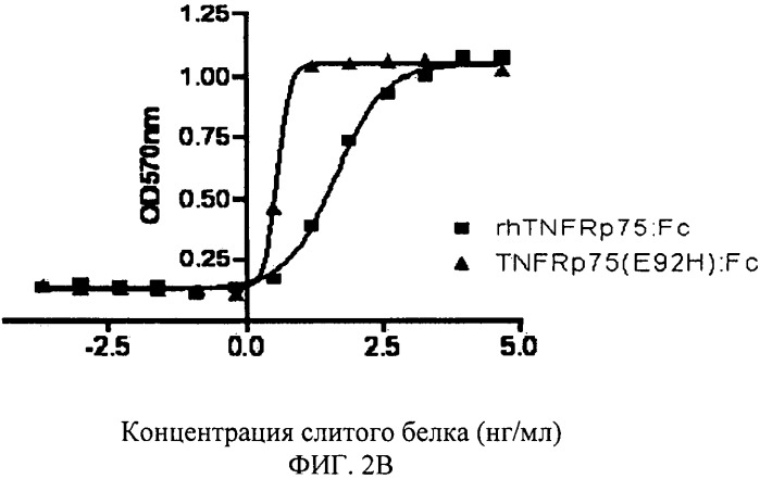 Растворимый мутант рецептора фактора некроза опухоли (патент 2478645)