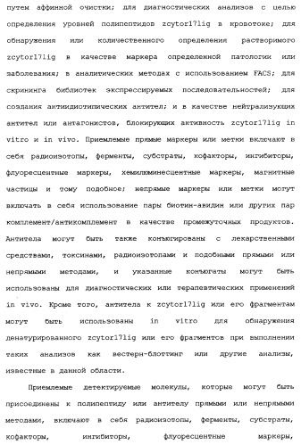 Новый лиганд рецептора цитокина zcytor17 (патент 2360923)