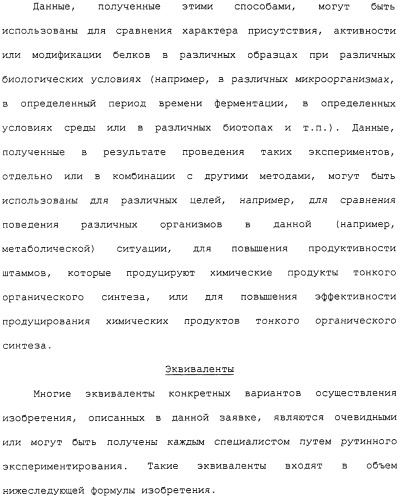 Гены corynebacterium glutamicum, кодирующие белки метаболических путей (патент 2306339)