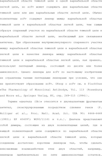 Способ модификации изоэлектрической точки антитела с помощью аминокислотных замен в cdr (патент 2510400)