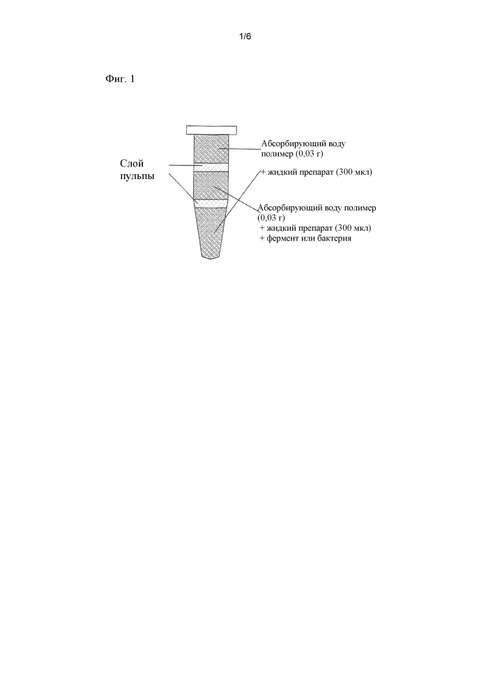 Способ визуального определения местонахождения источника образования запаха мочи и скрининг ингибиторов образования запаха мочи (патент 2598718)