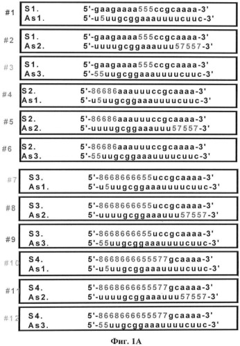 Новые структуры малых интерферирующих рнк (sirna) (патент 2487716)