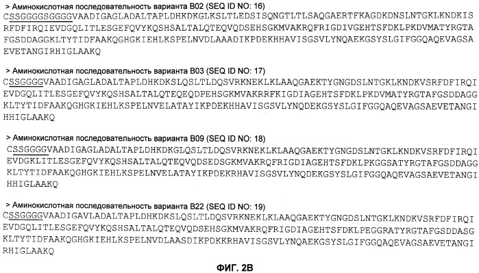 Нелипидизированные варианты антигенов neisseria meningitidis orf2086 (патент 2546873)