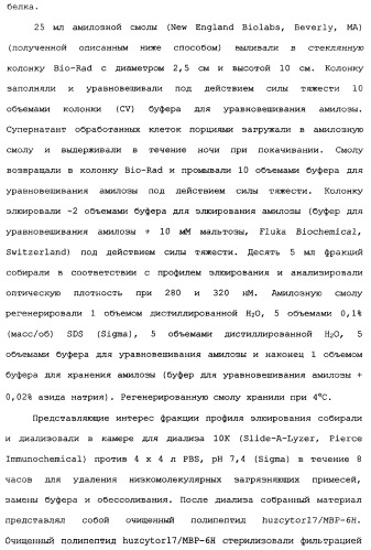 Новый лиганд рецептора цитокина zcytor17 (патент 2360923)