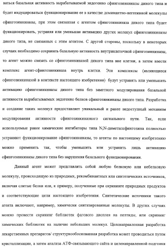 Сфингозинкиназа (варианты), нуклеиновая кислота, ее кодирующая (варианты), и их применение (патент 2326945)