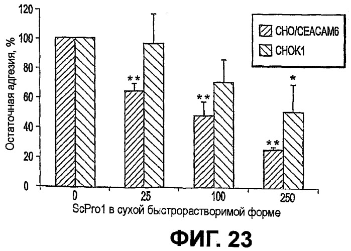 Дрожжи saccharomyces cerevisiae, используемые в качестве пробиотика, и композиция на их основе (патент 2490324)