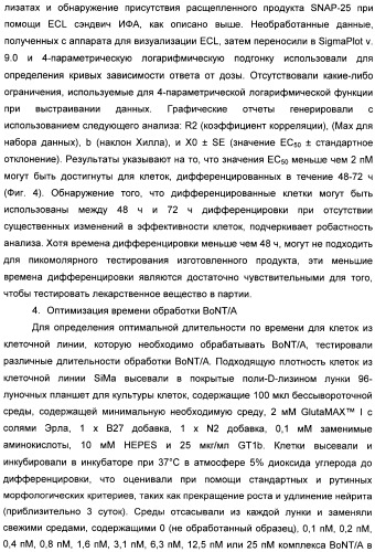 Иммунологические анализы активности ботулинического токсина серотипа а (патент 2491293)