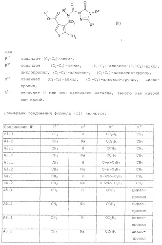 Масляный суспензионный концентрат (патент 2399205)