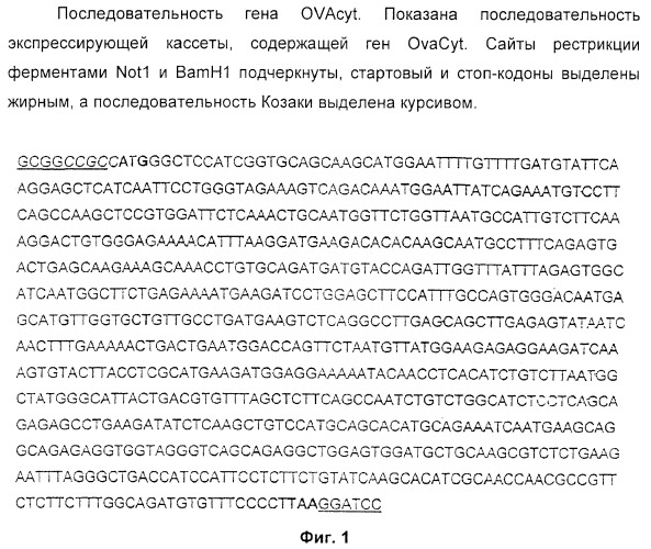 Способ усиления иммунного ответа млекопитающего на антиген (патент 2370537)