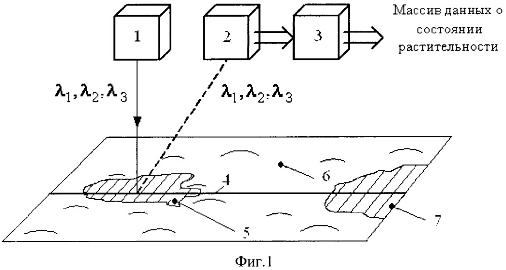 Дистанционный способ обнаружения растительности, находящейся в неблагоприятных для развития условиях (патент 2664757)