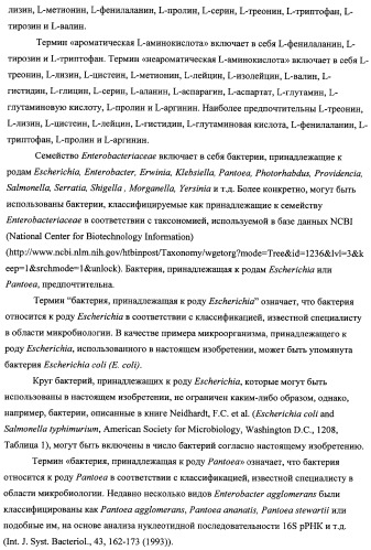 Способ получения l-треонина с использованием бактерии, принадлежащей к роду escherichia, модифицированной таким образом, что в ней нарушена способность к образованию ворсинок типа &quot;керли&quot; (патент 2338782)