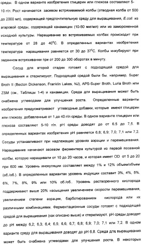 Продуцирование il-21 в прокариотических клетках-хозяевах (патент 2354703)