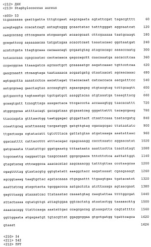 Иммуногенные композиции антигенов staphylococcus aureus (патент 2536981)