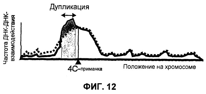 Улавливание и характеристика совместно локализованного хроматина (патент 2478716)