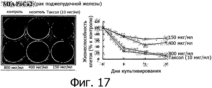 Противораковая композиция, включающая линию клеток, полученную из камбия и прокамбия стебля тисса (taxus) (патент 2440820)