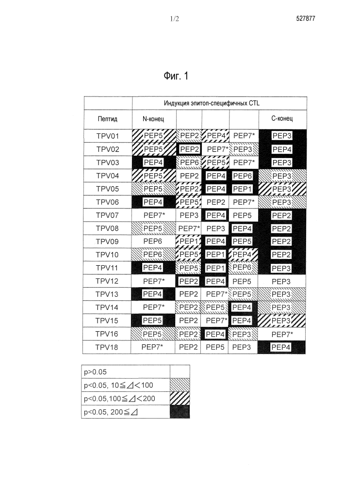 Новый пептид, имеющий 5 соединенных эпитопов ctl (патент 2627175)