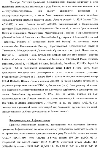 Способ получения l-треонина с использованием бактерии, принадлежащей к роду escherichia, в которой инактивирован ген ygid (патент 2396349)