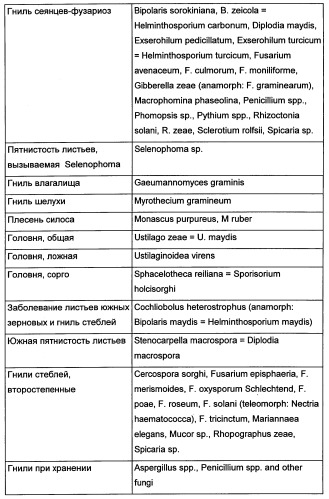 Новые последовательности нуклеиновых кислот и их применение в способах достижения устойчивости к патогенам в растениях (патент 2346985)