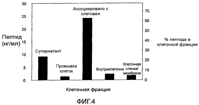 Проникающие в клетку пептиды и полипептиды для клеток микроорганизмов (патент 2526511)