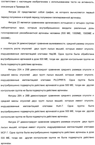 Фармацевтический препарат и способ лечения злокачественных опухолей у человека с помощью аргининовой депривации (патент 2335539)