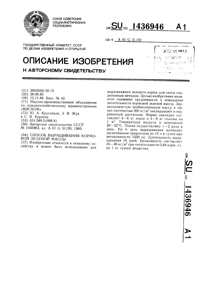 Способ выращивания кормовой зеленой массы (патент 1436946)
