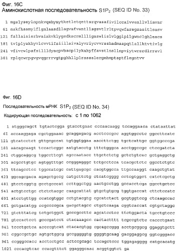 Применение s1p (патент 2362565)