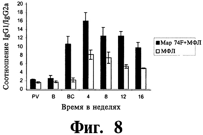 Фармацевтическая композиция и способ стимулирования иммунного ответа к мусоbacterium avium подвида paratuberculosis (патент 2489165)