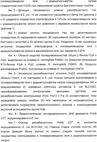 Нейссериальные вакцинные композиции, содержащие комбинацию антигенов (патент 2317106)