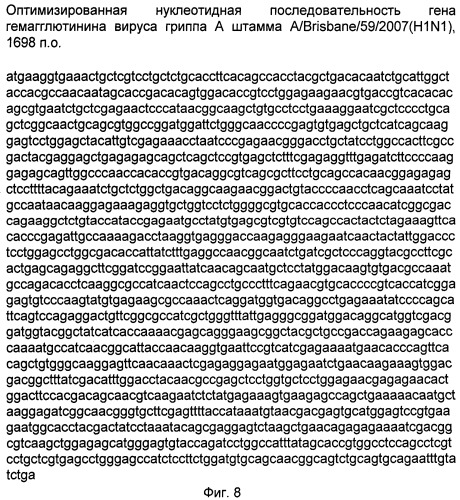 Рекомбинантная псевдоаденовирусная частица на основе генома аденовируса человека 5 серотипа, продуцирующая гемагглютинин вируса гриппа штамма a/brisbane/59/2007(h1n1) и способ ее использования (патент 2523599)