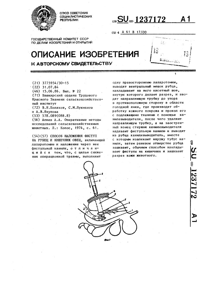 Способ наложения фистул на рубец и кишечник овец (патент 1237172)