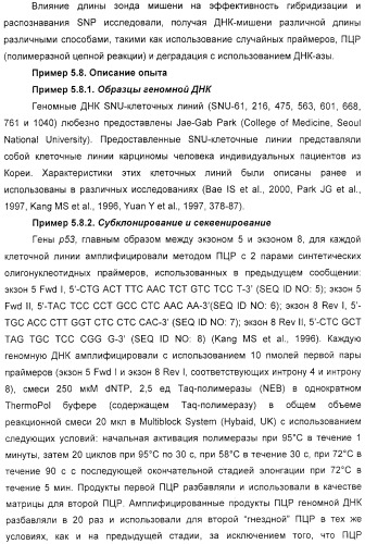 Макромолекула регулируемого размера (патент 2326172)